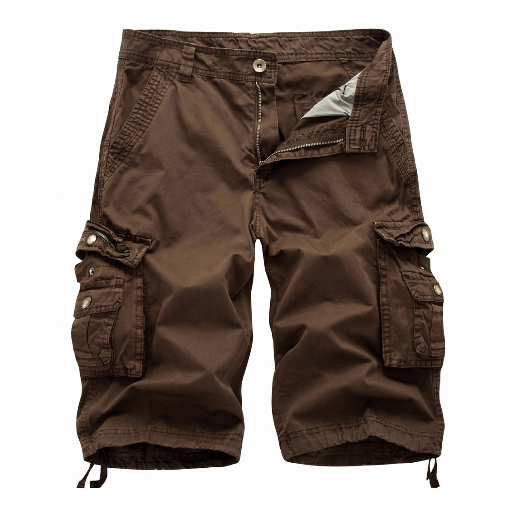 Nicolas Cargo Shorts - Color:Brown;Size:30
